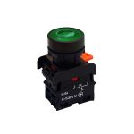 شستی استارت چراغدار رعد