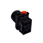 شستی استارت چراغدار رعد - Image 3